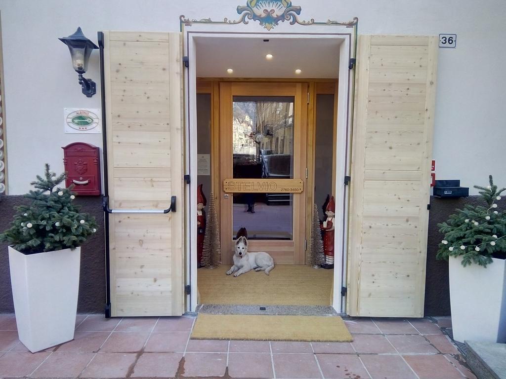 Albergo Stelvio Bormio Exterior foto